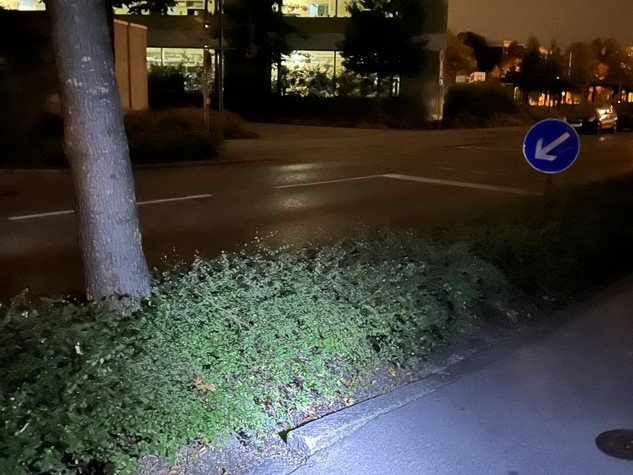 Mangelmeldung: Hochstehender Randsteinauf dem Fahrradweg Münchner Ring stadteinwärts auf der Anhöhe vom Fußgängerübergang an der TG - Realschule