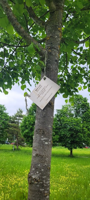 Mangelmeldung: Schild für Baumspender ist lose